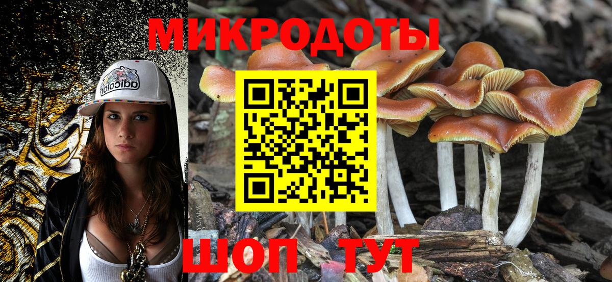 Псилоцибиновые грибы мицелий  продажа наркотиков  Коммунар  Вход с VPN 