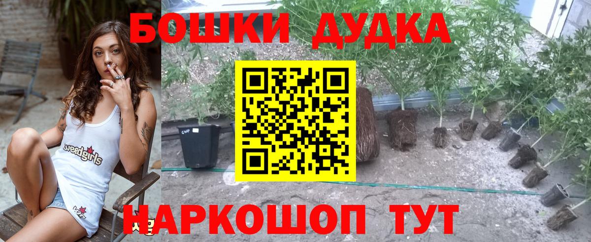 Каннабис конопля Коммунар